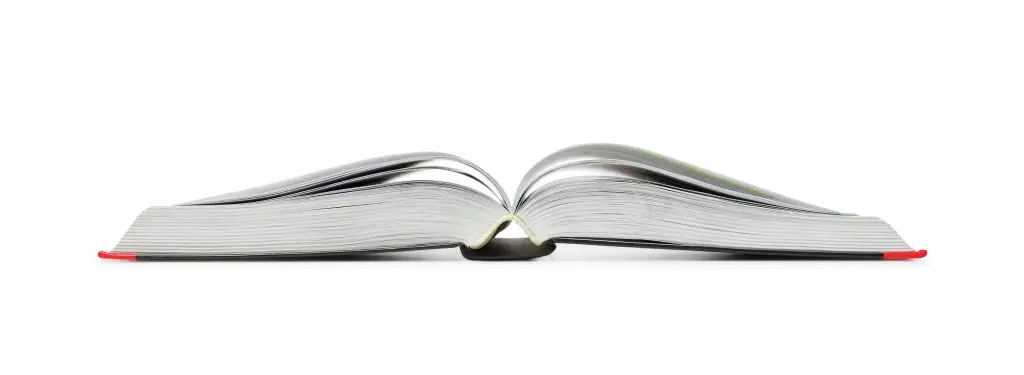 An open book lies flat against a white background, with its pages spread equally on both sides and the spine slightly raised in the middle. The edges of the pages are crisp and slightly curved upward, resembling entries in a meticulously organized Disabled Business Directory.